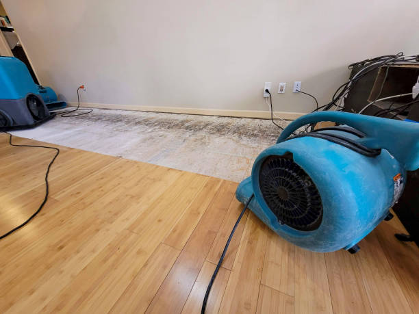 Professional Burst Pipe Water Damage technician working in Uniontown, WA